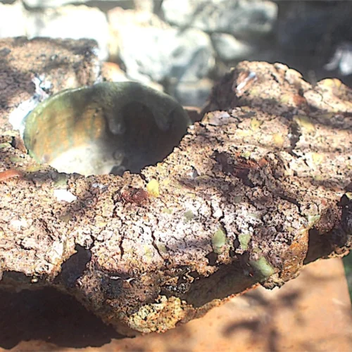 sculpture ceramique, bol genese de camille virot en vente chez artmourier.com