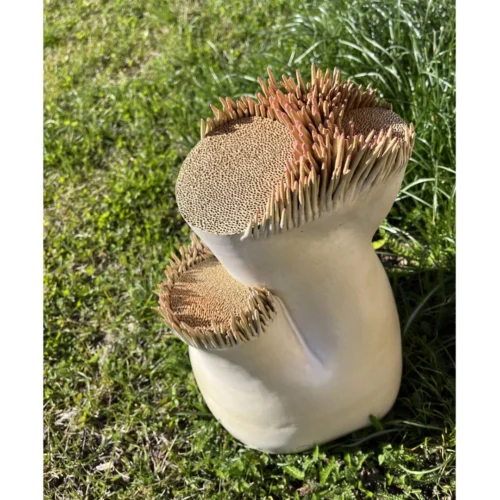 ceramique contemporaine de christiane filliatreau à vendre sur artmourier.com
